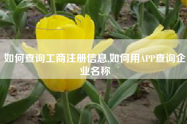 如何查询工商注册信息,如何用APP查询企业名称