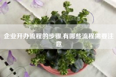 企业开办流程的步骤,有哪些流程需要注意