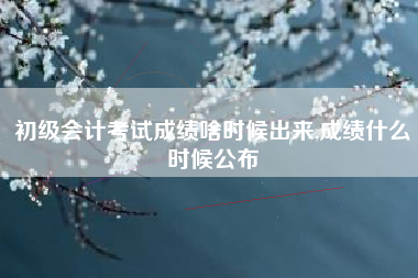 初级会计考试成绩啥时候出来,成绩什么时候公布