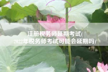 注册税务师延期考试(
2022年税务师考试可能会延期吗)