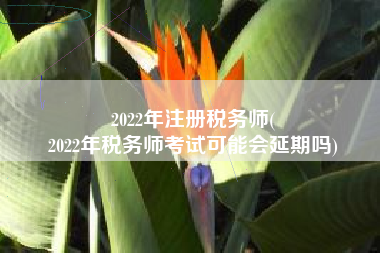 2022年注册税务师(
2022年税务师考试可能会延期吗)