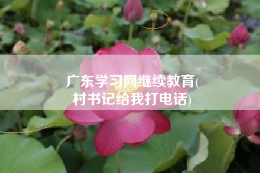 广东学习网继续教育(
村书记给我打电话)