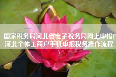 国家税务局河北省电子税务局网上申报(河北个体工商户手机申报税务操作流程
)