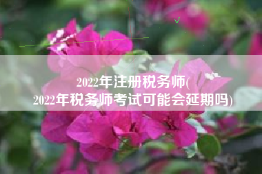 2022年注册税务师(
2022年税务师考试可能会延期吗)