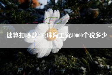 速算扣除数210(珠海工资30000个税多少
)