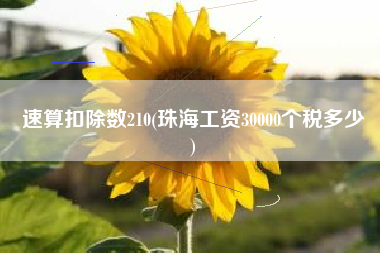 速算扣除数210(珠海工资30000个税多少
)