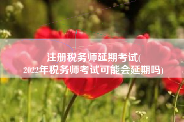 注册税务师延期考试(
2022年税务师考试可能会延期吗)