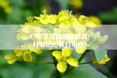 广东学习网继续教育(
村书记给我打电话)