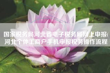 国家税务局河北省电子税务局网上申报(河北个体工商户手机申报税务操作流程
)