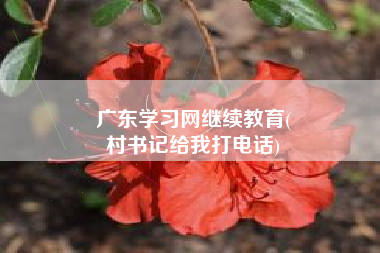 广东学习网继续教育(
村书记给我打电话)