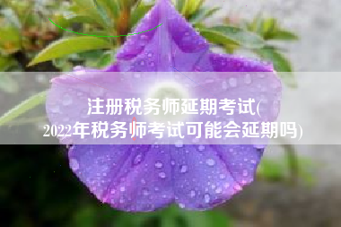注册税务师延期考试(
2022年税务师考试可能会延期吗)