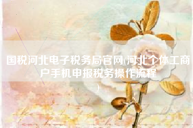 国税河北电子税务局官网(河北个体工商户手机申报税务操作流程
)