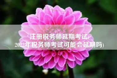 注册税务师延期考试(
2022年税务师考试可能会延期吗)