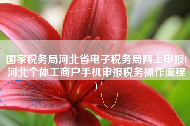 国家税务局河北省电子税务局网上申报(河北个体工商户手机申报税务操作流程
)