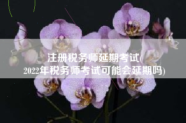 注册税务师延期考试(
2022年税务师考试可能会延期吗)