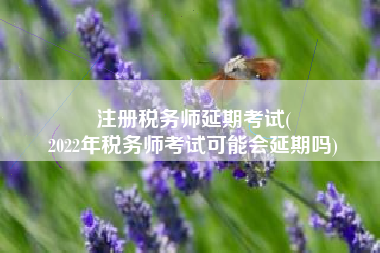 注册税务师延期考试(
2022年税务师考试可能会延期吗)
