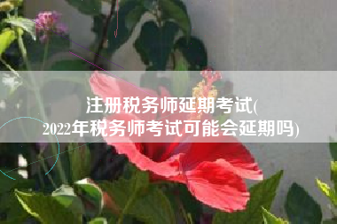 注册税务师延期考试(
2022年税务师考试可能会延期吗)