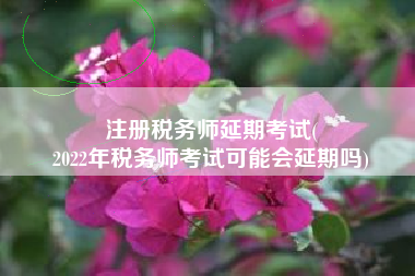 注册税务师延期考试(
2022年税务师考试可能会延期吗)