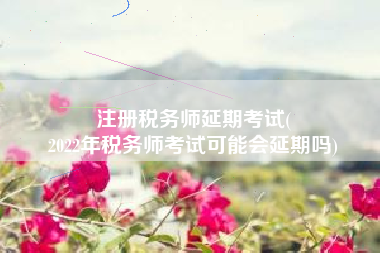 注册税务师延期考试(
2022年税务师考试可能会延期吗)