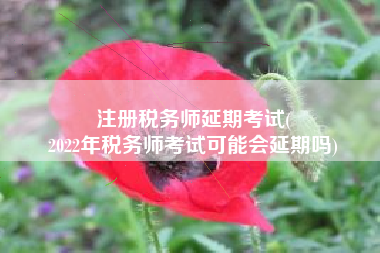 注册税务师延期考试(
2022年税务师考试可能会延期吗)
