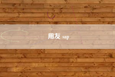 用友 sap