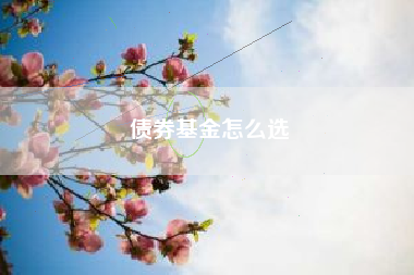 债券基金怎么选