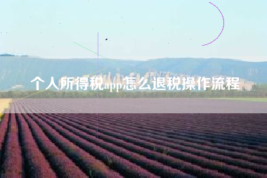个人所得税app怎么退税操作流程