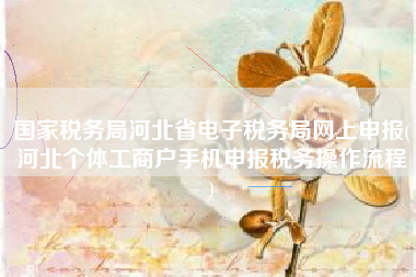 国家税务局河北省电子税务局网上申报(河北个体工商户手机申报税务操作流程
)