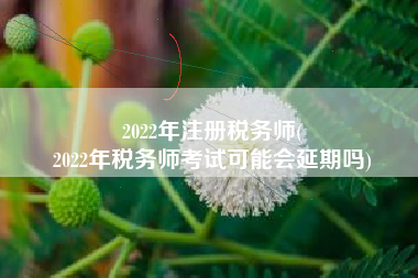 2022年注册税务师(
2022年税务师考试可能会延期吗)