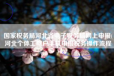 国家税务局河北省电子税务局网上申报(河北个体工商户手机申报税务操作流程
)