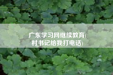 广东学习网继续教育(
村书记给我打电话)