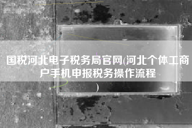 国税河北电子税务局官网(河北个体工商户手机申报税务操作流程
)