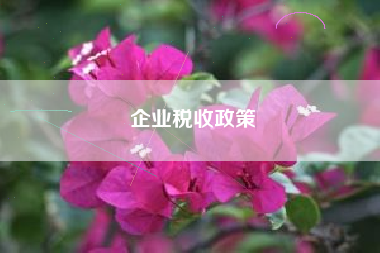 企业税收政策