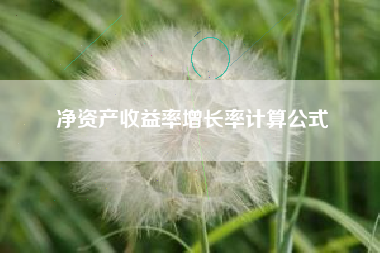 净资产收益率增长率计算公式