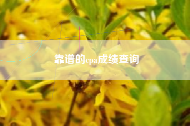 靠谱的cpa成绩查询