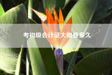 考初级会计证大概要多久