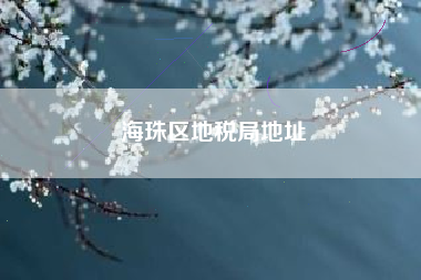 海珠区地税局地址