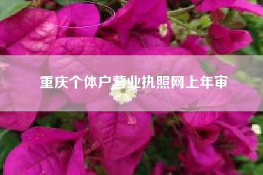 重庆个体户营业执照网上年审