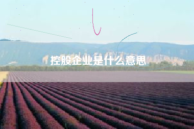 控股企业是什么意思