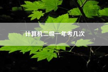 详细阅读:计算机二级一年考几次 计算机二级一年考几次