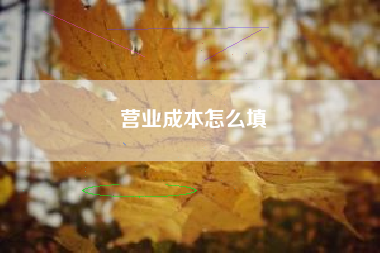 详细阅读:营业成本怎么填 营业成本怎么填