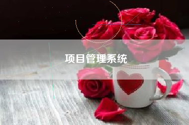 项目管理系统