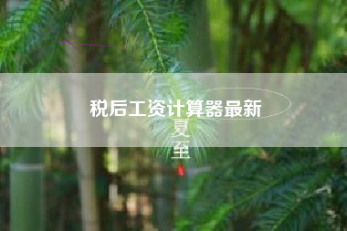 税后工资计算器最新