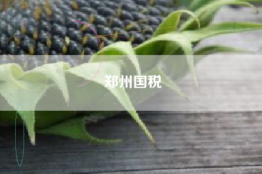 郑州国税