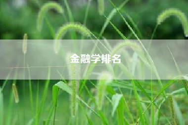 详细阅读:金融学排名 金融学排名