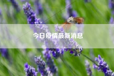 详细阅读:今日疫情最新消息 今日疫情最新消息
