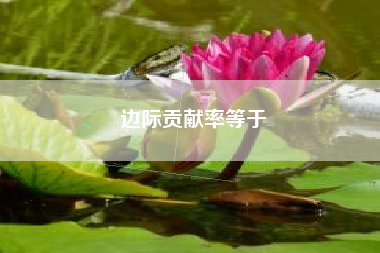 详细阅读:边际贡献率等于 边际贡献率等于