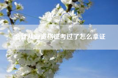 会计从业资格证考过了怎么拿证