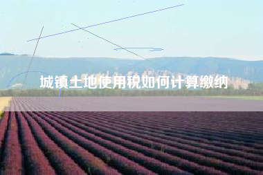 城镇土地使用税如何计算缴纳