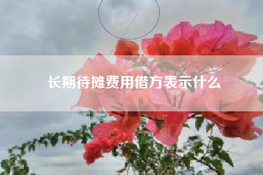 长期待摊费用借方表示什么